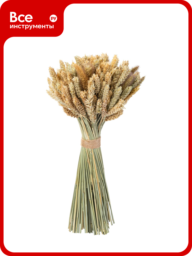 Коробка 6 букетов Стильный Дом из сухих колосовых культур пшеница чумиза h480 40873