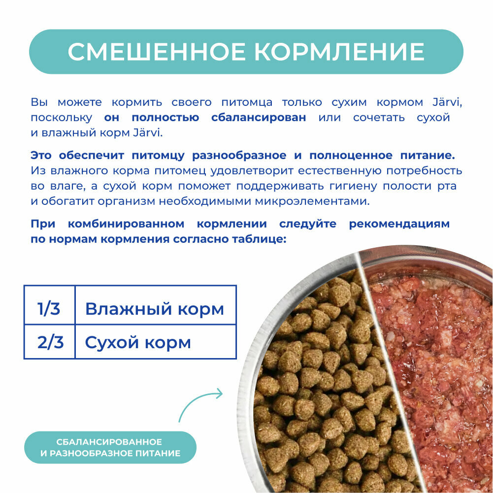 Jarvi сухой монопротеиновый полнорационный корм для щенков средних и крупных пород (Индейка, 1,5 кг.) - фото №6