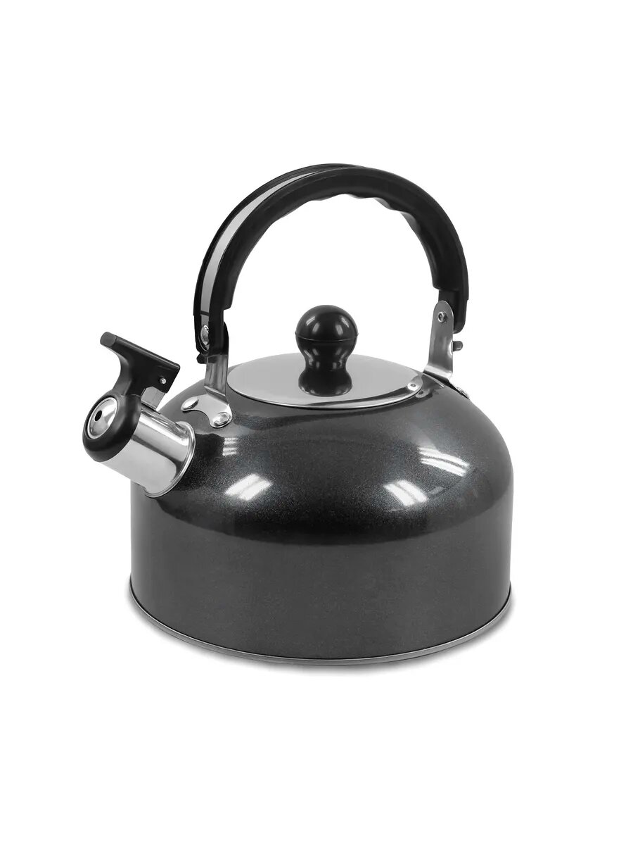 Чайник HOME ELEMENT HE-WK1602, нержавеющая сталь, со свистком