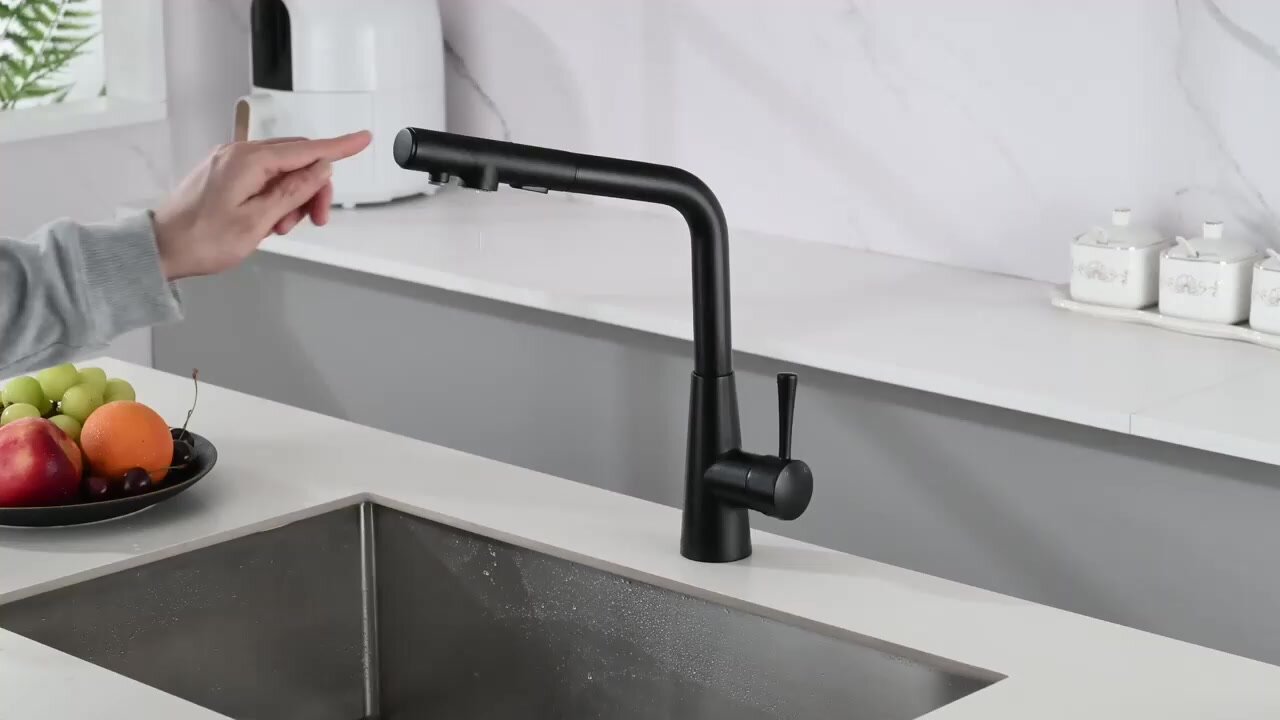 Смеситель для кухни с подключением к фильтру питьевой воды , с гибким выдвижным изливом и лейкой 2 режима. Abroli 378BL — фото 1