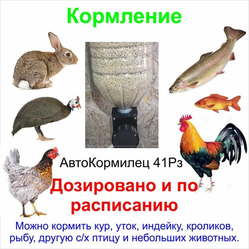Питатель АвтоКормилец 41РЗ, для индеек и куриц, с регулировкой скорости, черный