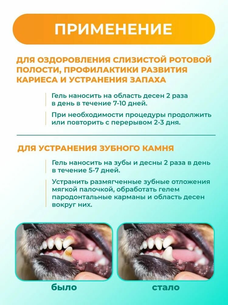 Гели Для Полости Рта VEDA Дентаведин гель для обработки полости рта при инфекции