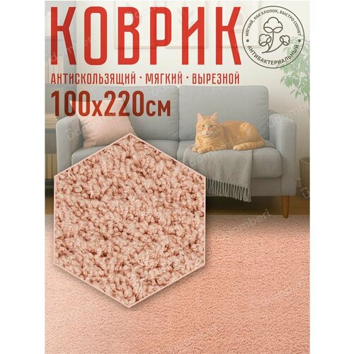 фото Ковер комнатный напольный с ворсом для зала 100х220 vdomberi