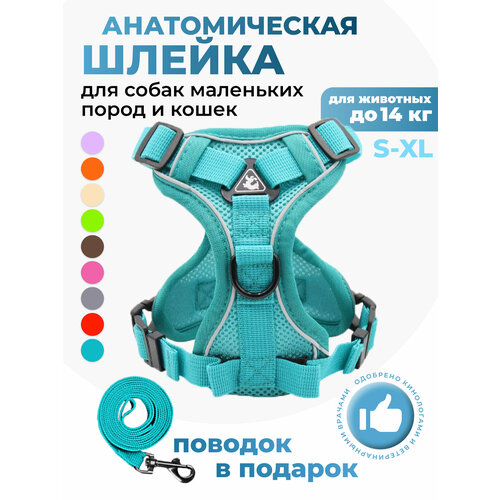 Шлейка прогулочная для собак и кошек регулируемая Wonder Pet / размер XL / бирюзовая