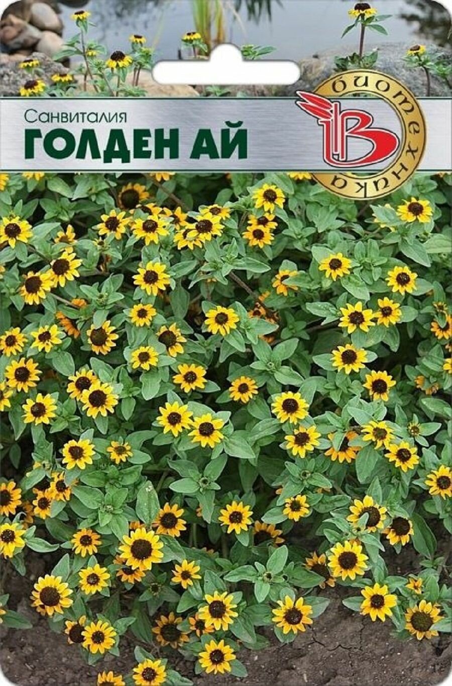 Санвиталия Голден Ай   80 семян Биотехника
