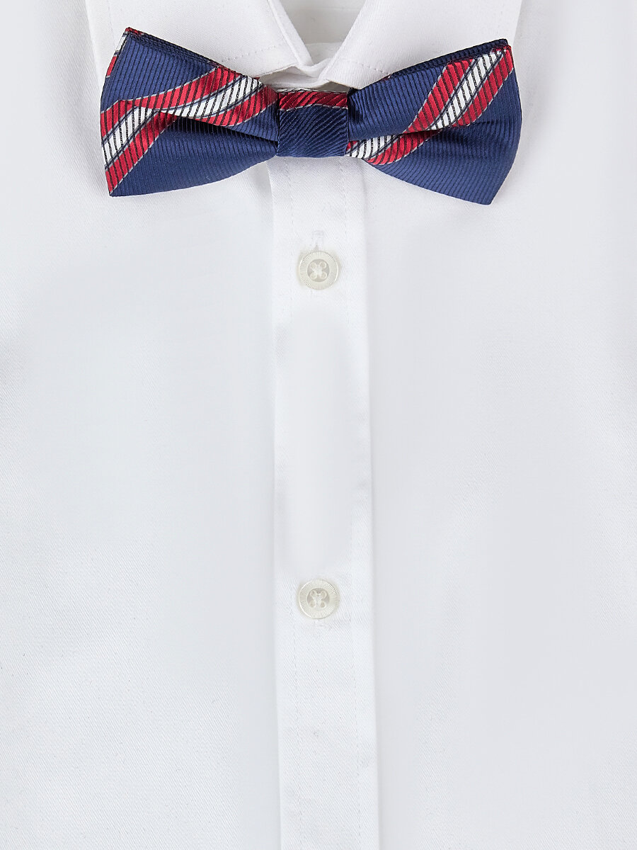 Бабочка Noble People, синий — фото 1