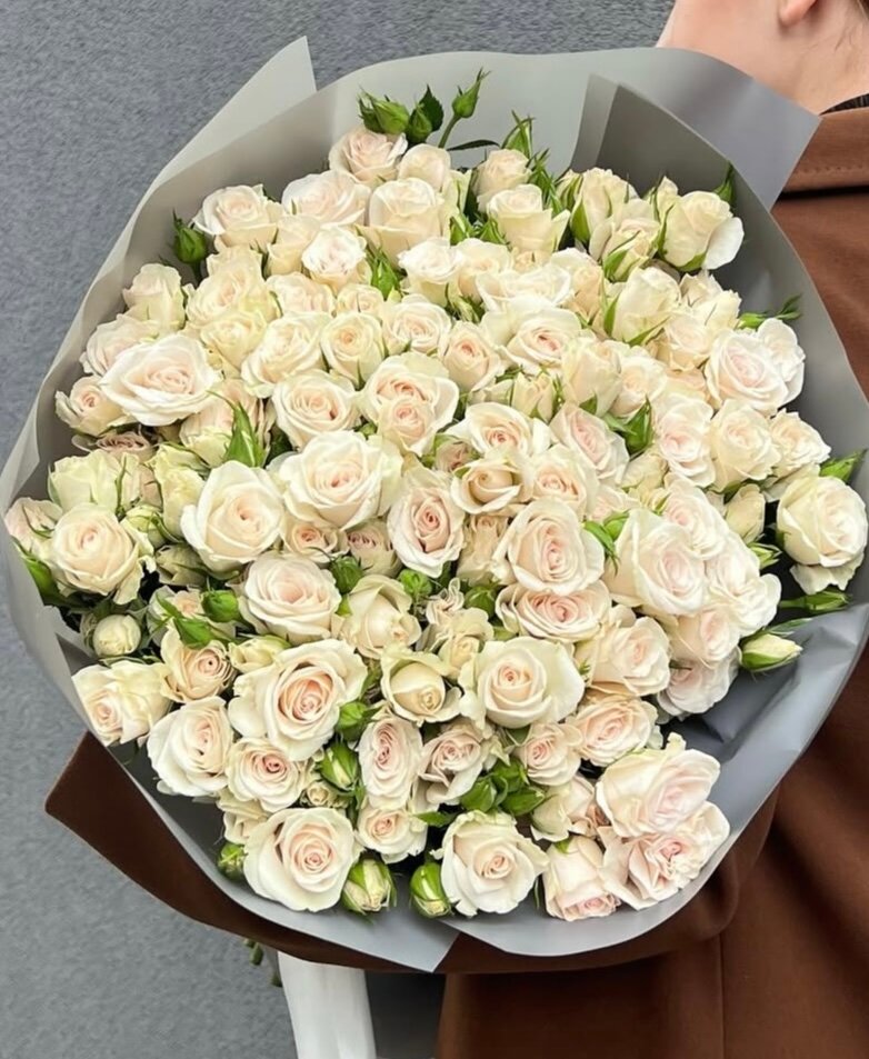 Большой букет из 49 нежных кремовых беловых кустовых роз в стильной упаковке для подарка