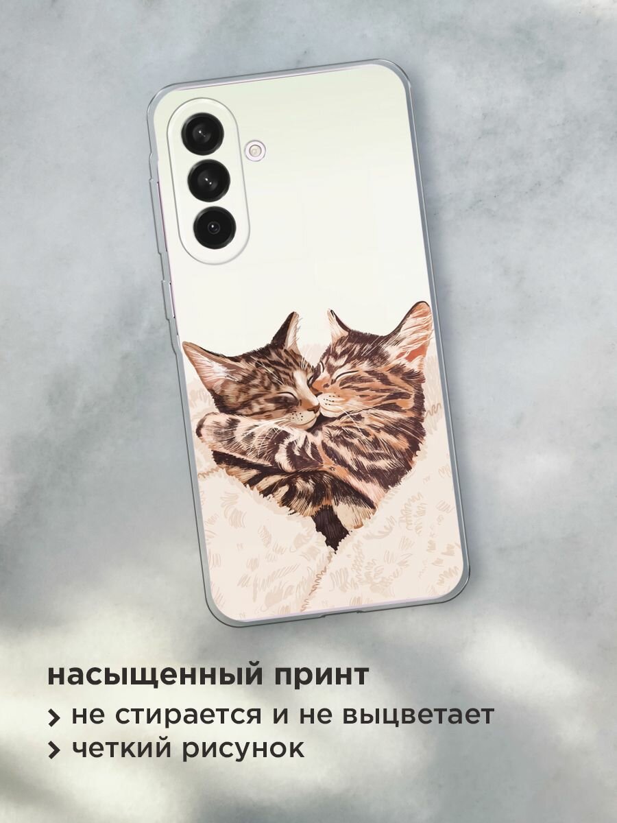 Чехол на Samsung Galaxy A56 5G / Самсунг Галакси А56 5G с принтом "Влюбленные котейки - 14 февраля" — фото 1