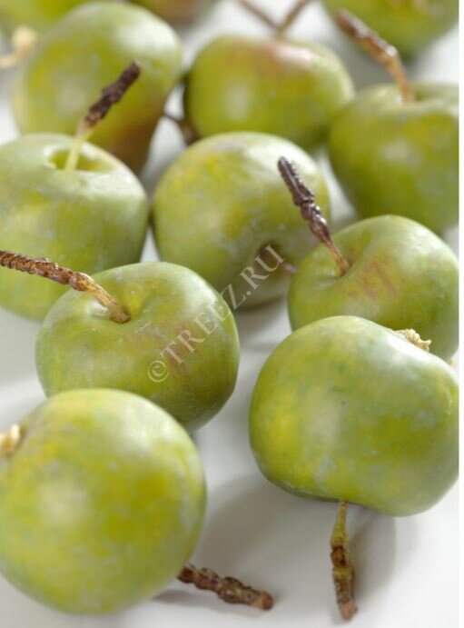30.0610057 Яблочки-мини зеленые в коробке (10 шт.), д-4 см 6/96