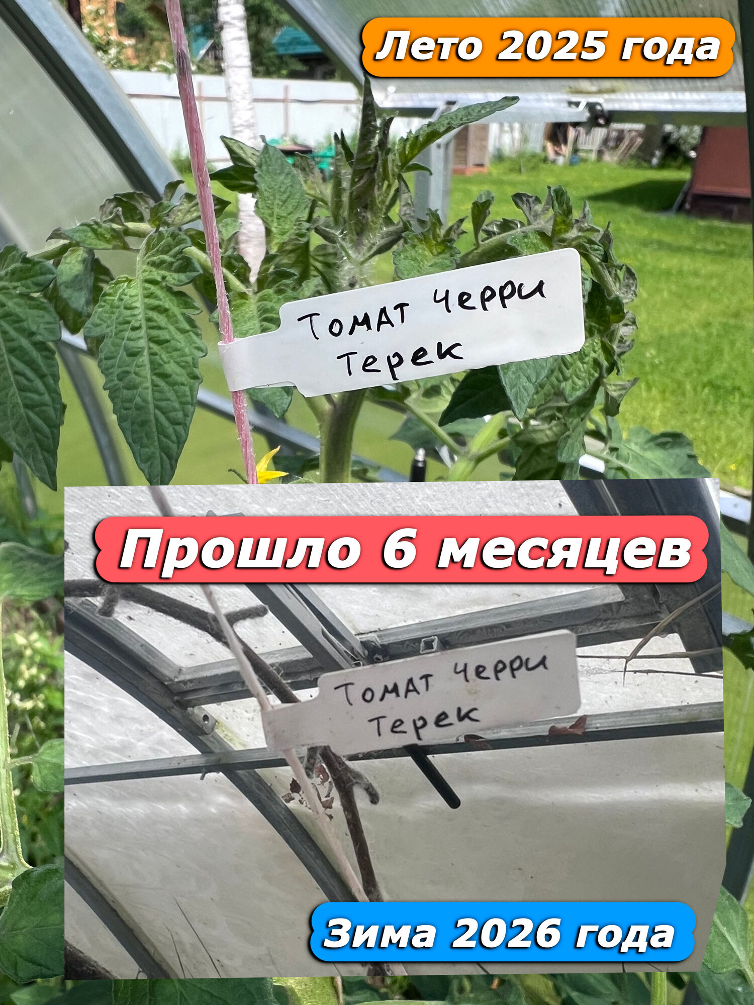 Бирка кабельная маркировка 220, полипропилен, 85x26 мм, белая, для маркировки 100шт. — фото 1