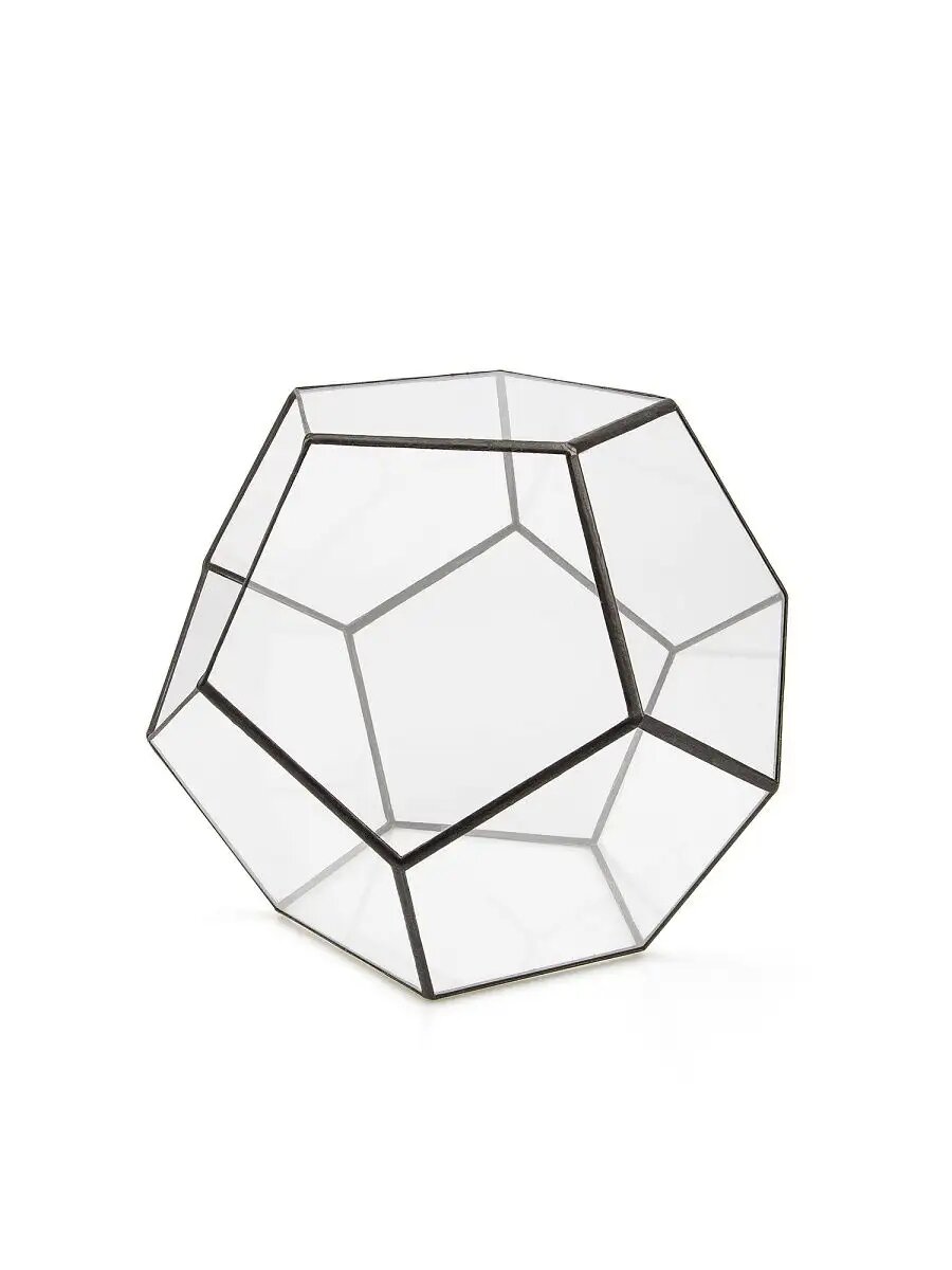 Флорариум Арт-Птица, фигурный, для растений, стекло, металл, черный