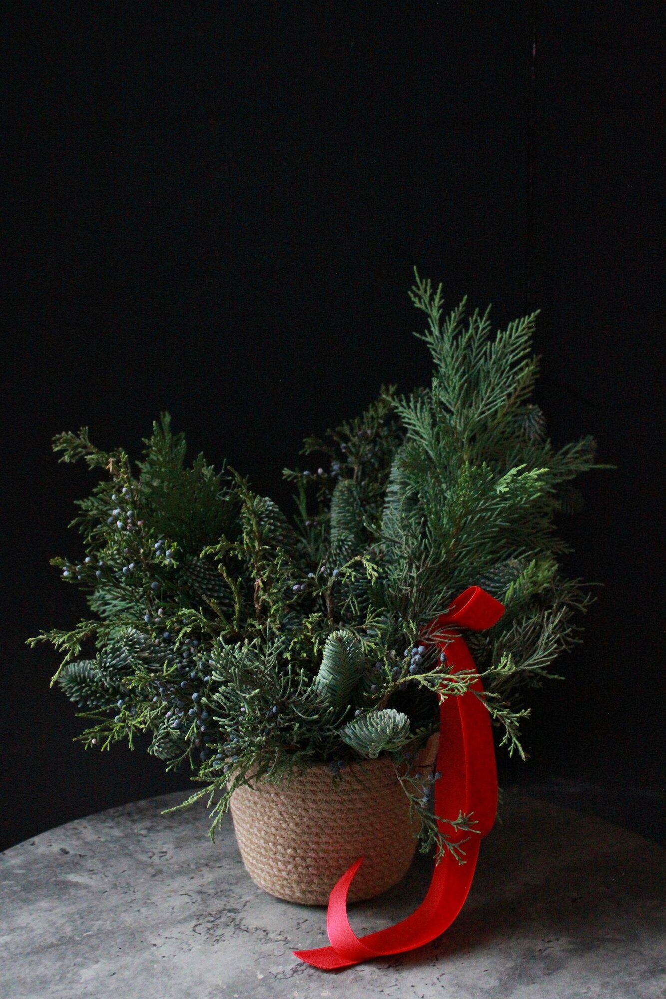 Хвойная композиция KLUMBA MOSCOW 