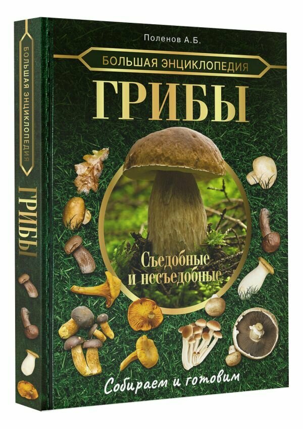 Большая энциклопедия. Грибы. Съедобные и несъедобные. Собираем и готовим. Поленов А. Б.