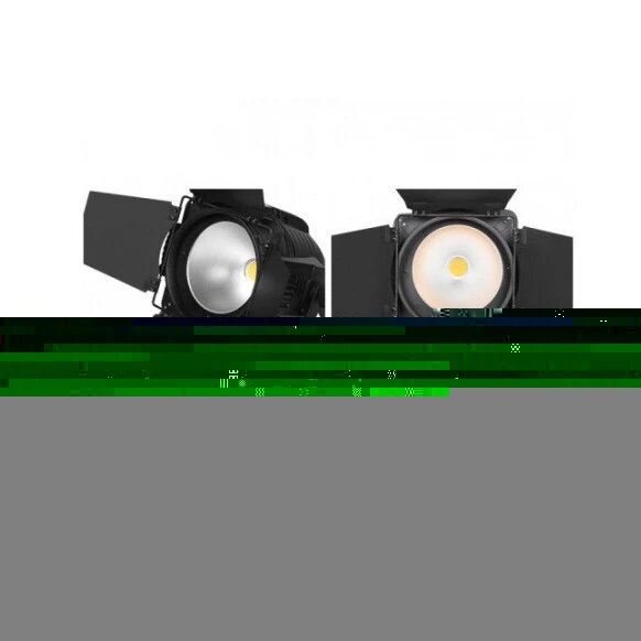 Прожектор PAR LED STECHNICS PAR LED COB 200CWWW — фото 1