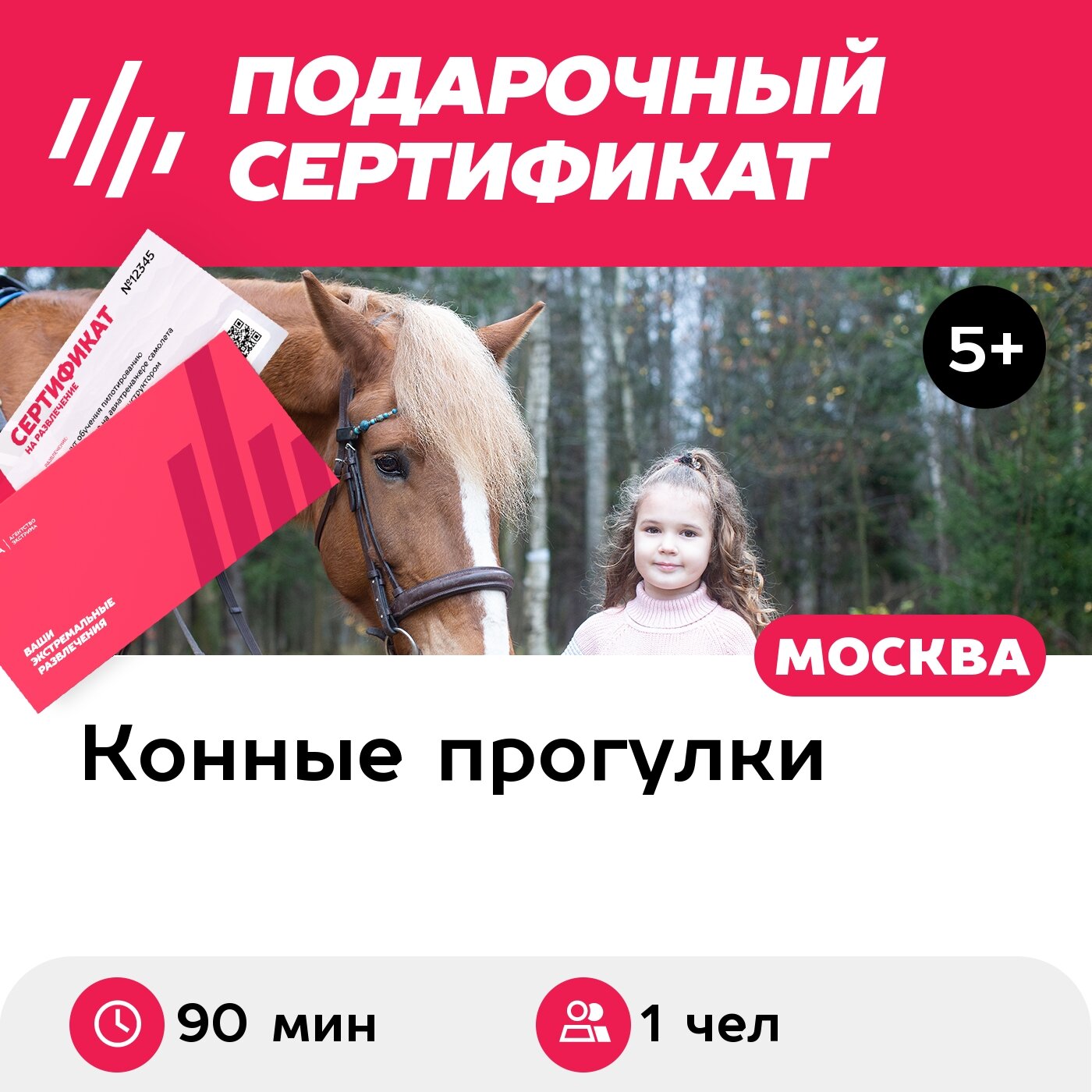 Подарочный сертификат Конная прогулка для 1 человека в составе группы (90 мин.)