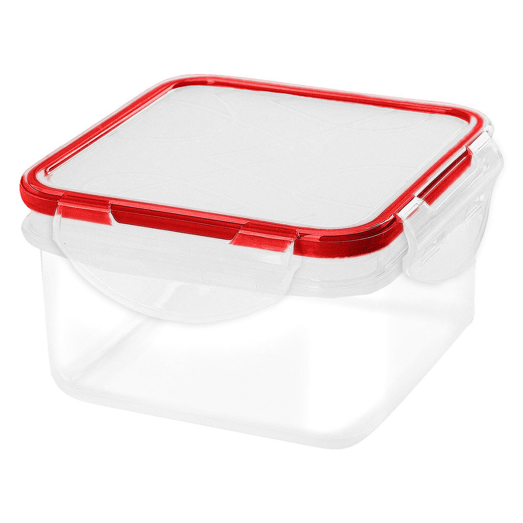 Контейнер для продуктов Plast team 