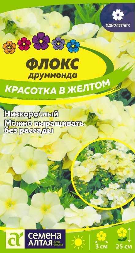 Флокс Красотка в желтом Друммонда/Сем Алт/01г