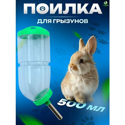 Поилка для грызунов, 500 мл, 20,5 х 5 см, зелёная