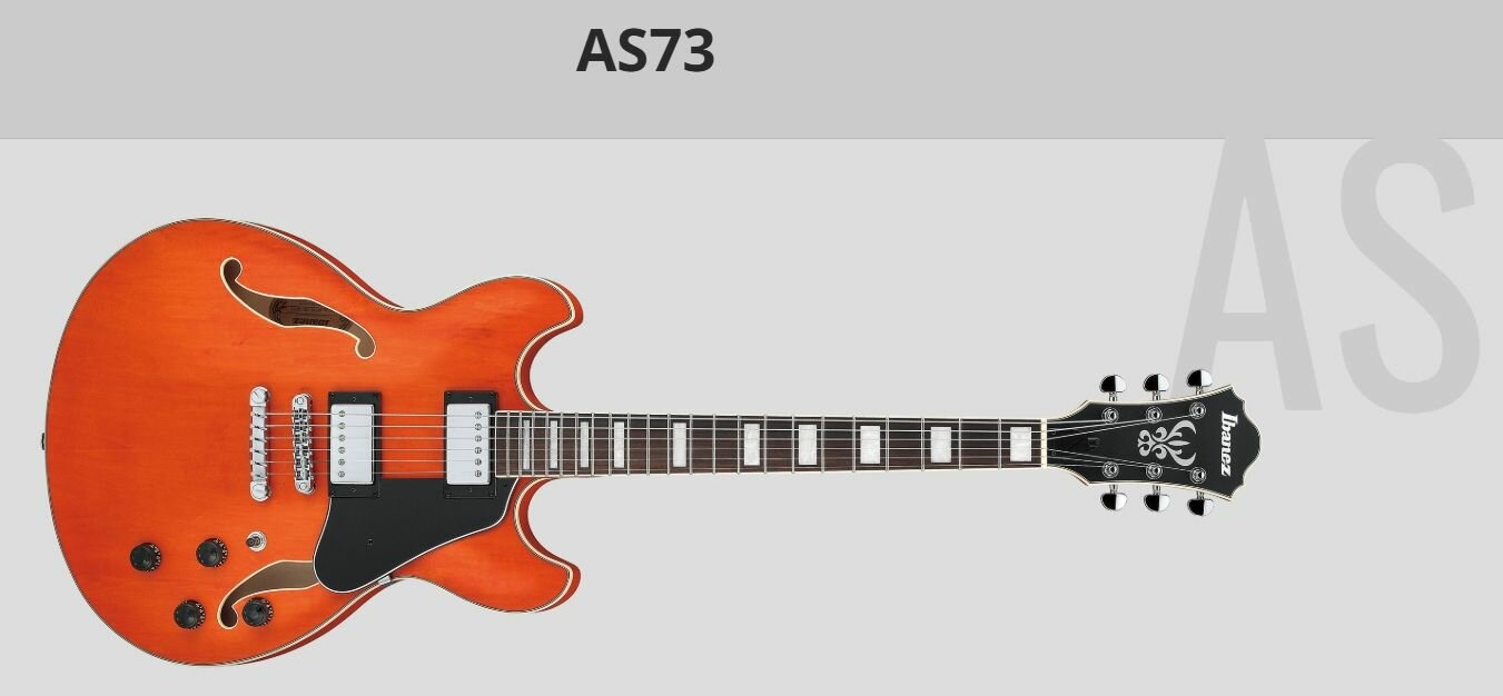 ド*ー様 Ibanez AS73 IBANEZ AS73-TBC купить в Москве по цене 71 390