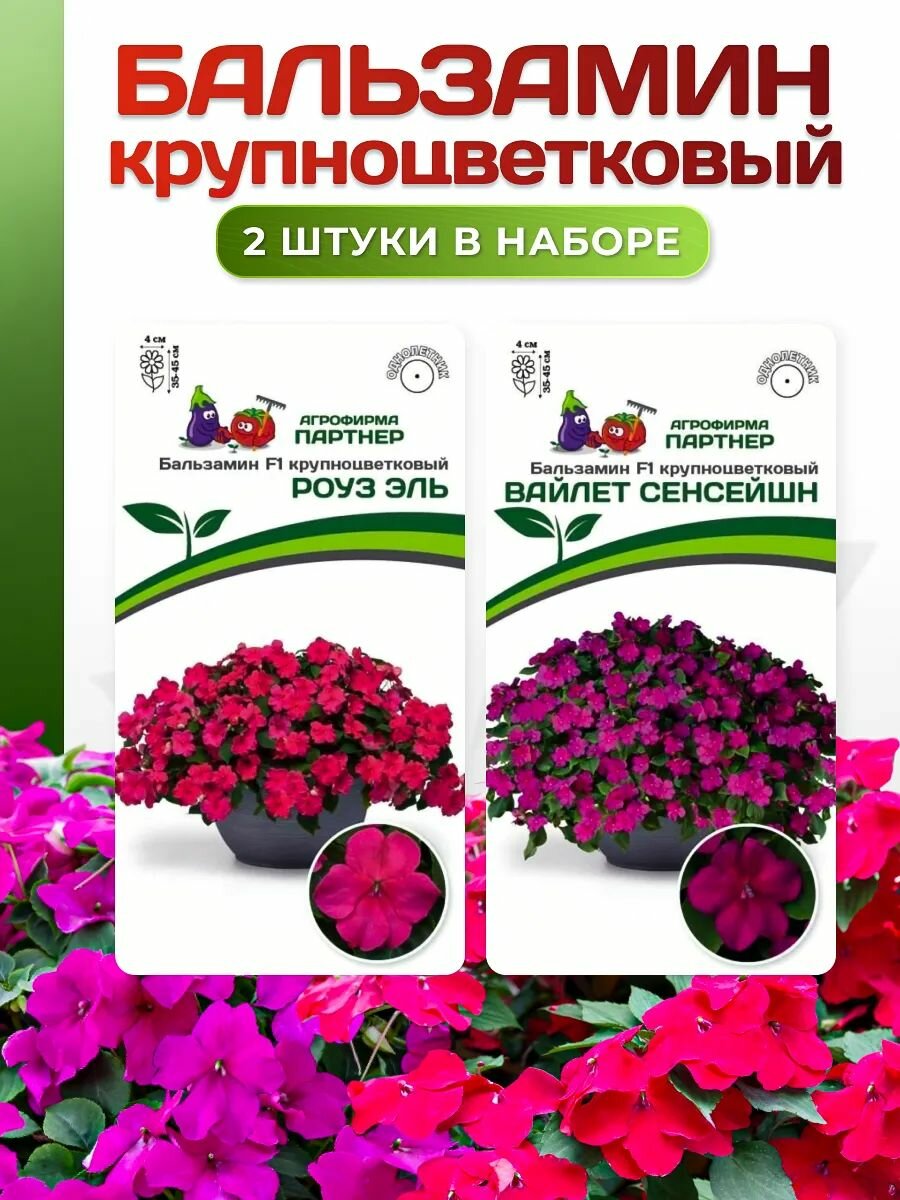 Набор семян: Бальзамин крупноцветковый