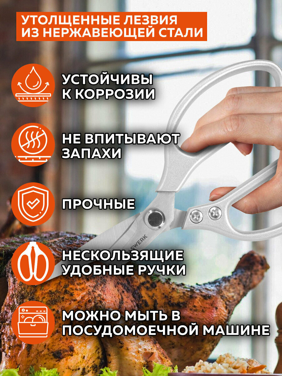 Картинки Ножницы кухонные Daswerk (Дасверк), 210 мм, удлиненное лезвие, металлические ручки, 608900