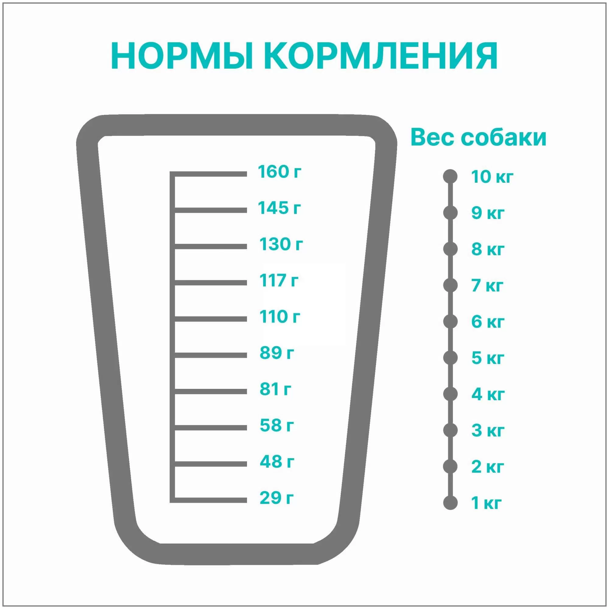 Сухой корм для собак PREMIER Dog Turkey ADULT Mini (Свежее мясо индейки для собак мелких пород) 1 кг — фото 1