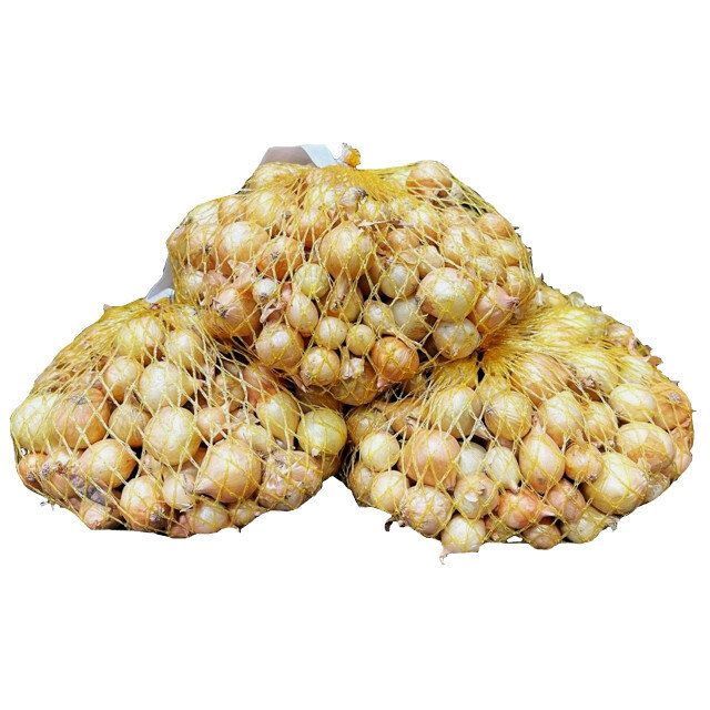 Лук-севок штуттгартер ризен 05кг 9/14