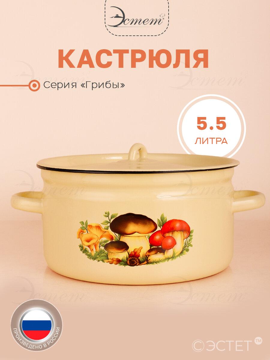 Кастрюля эмалированная для плиты 5.5 л