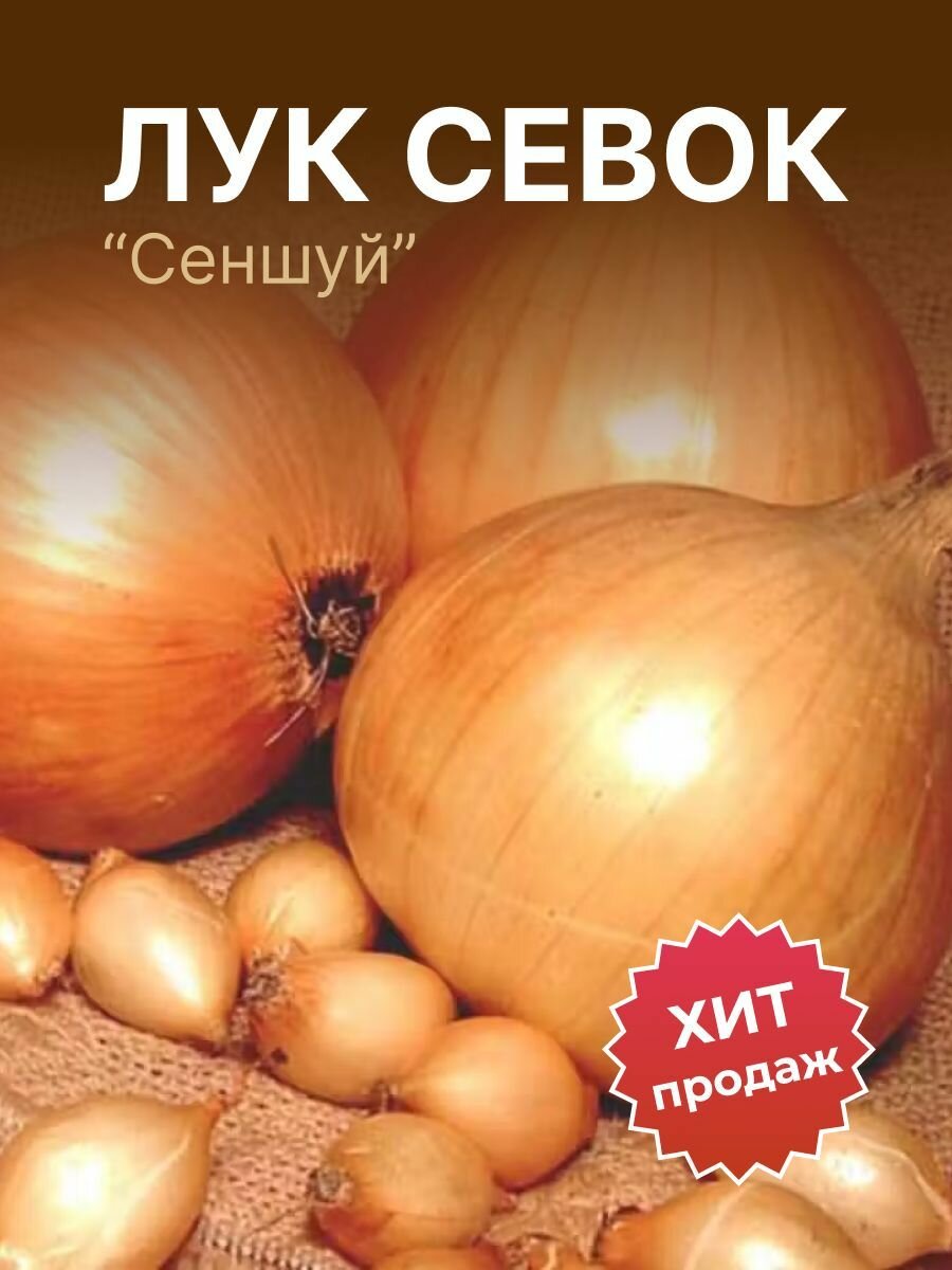 Лук севок на посадку 
