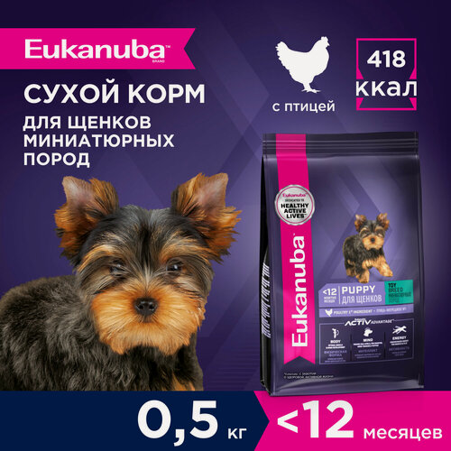 Изображение товара Сухой корм для щенков Eukanuba Puppy Toy Breed для миниатюрных пород, 0,5 кг