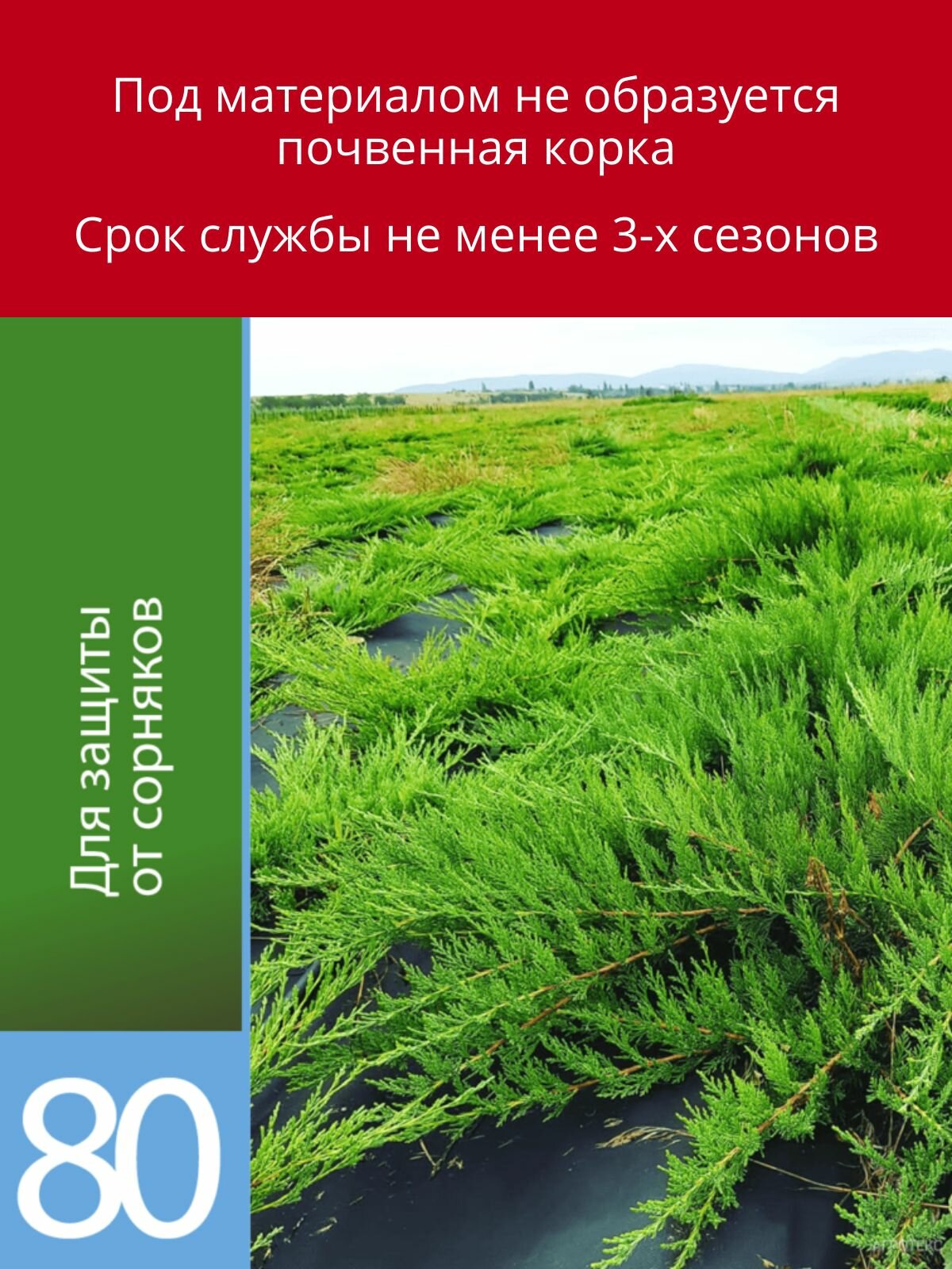 Укрывной материал с УФ Агротекс чёрный универсальный 80 г/м2, 3,2 х 10 м — фото 1