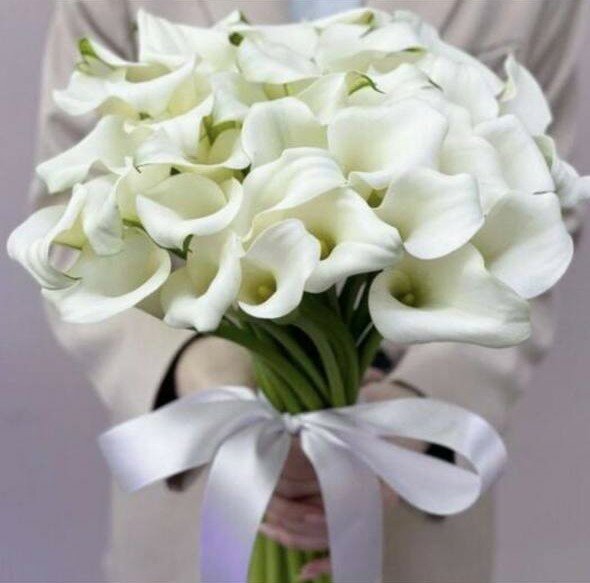 Белые каллы премиум 19 шт. Букет из калл для любимой девушки. Цветы на Свадьбу