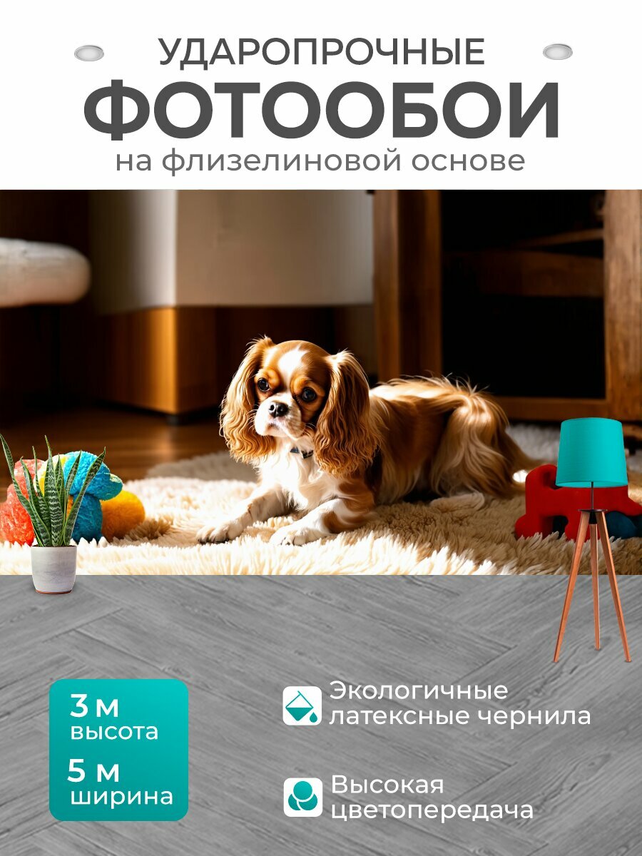 Фотообои моющиеся ударопрочные "В центре уютного домашнего интерьера, кавалер кинг чарльз спаниель удобно устроился на мягком ковре, окруженный" 500x300 см. флизелиновые на стену