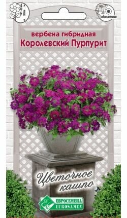 Вербена королевский пурпурит /02 г х 1 упаковка/ Евросемена