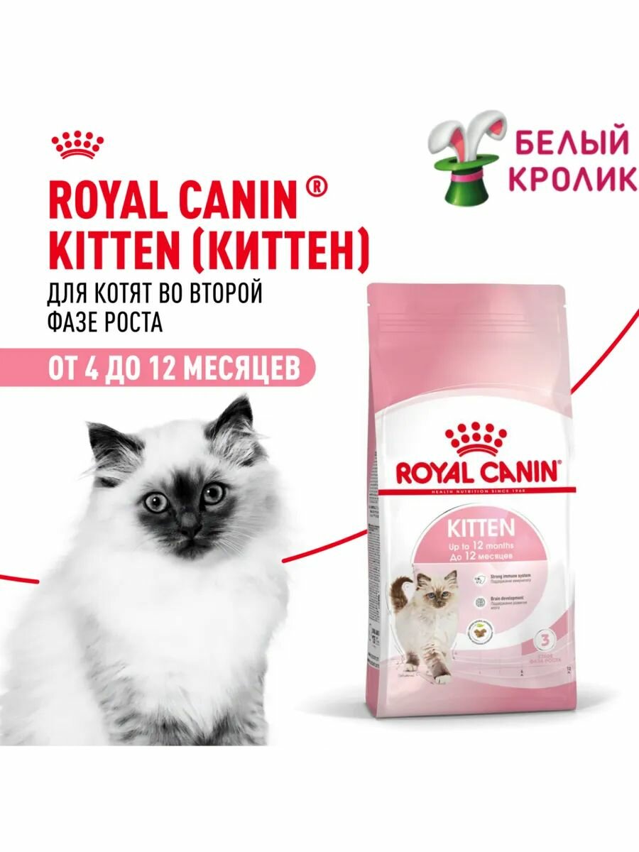 Сухой корм для кошек с 4 до 12 месяцев Royal Canin Kitten 300гр*2шт