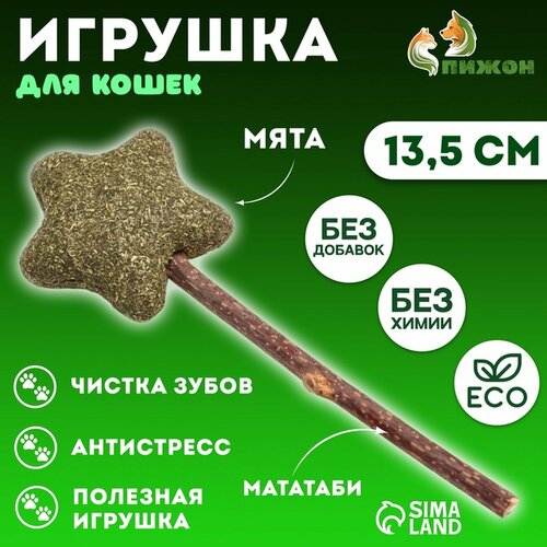 Игрушка для кошек из кошачьей мяты "Звезда" на палочке из мататаби, 13,5 см 7883156