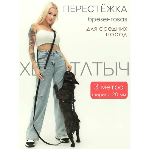 Перестежка для собак PRO прошитая нейлон 5 м х 25 мм (зелено-красный)