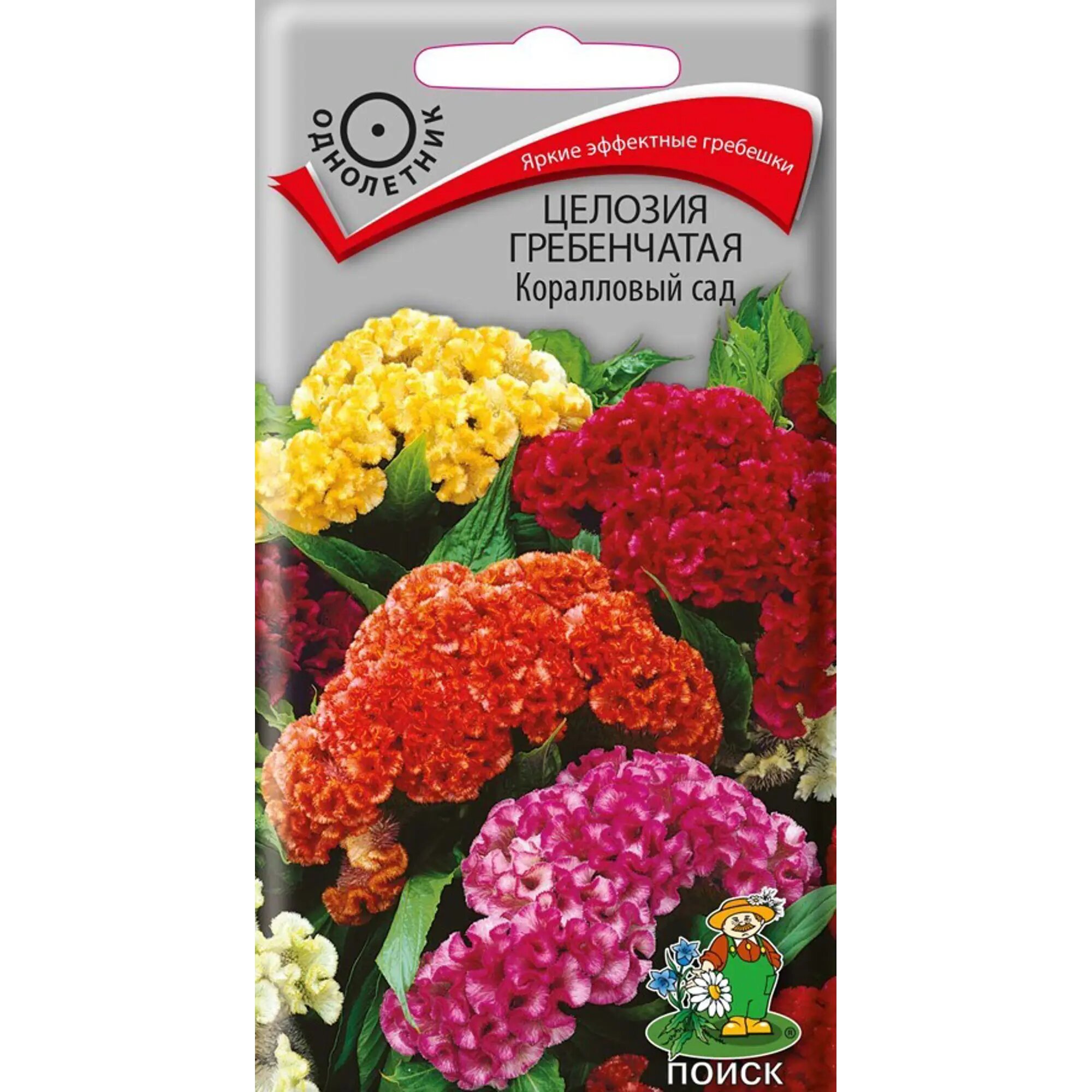 Семена Целозия Гребенчатая «Коралловый сад»