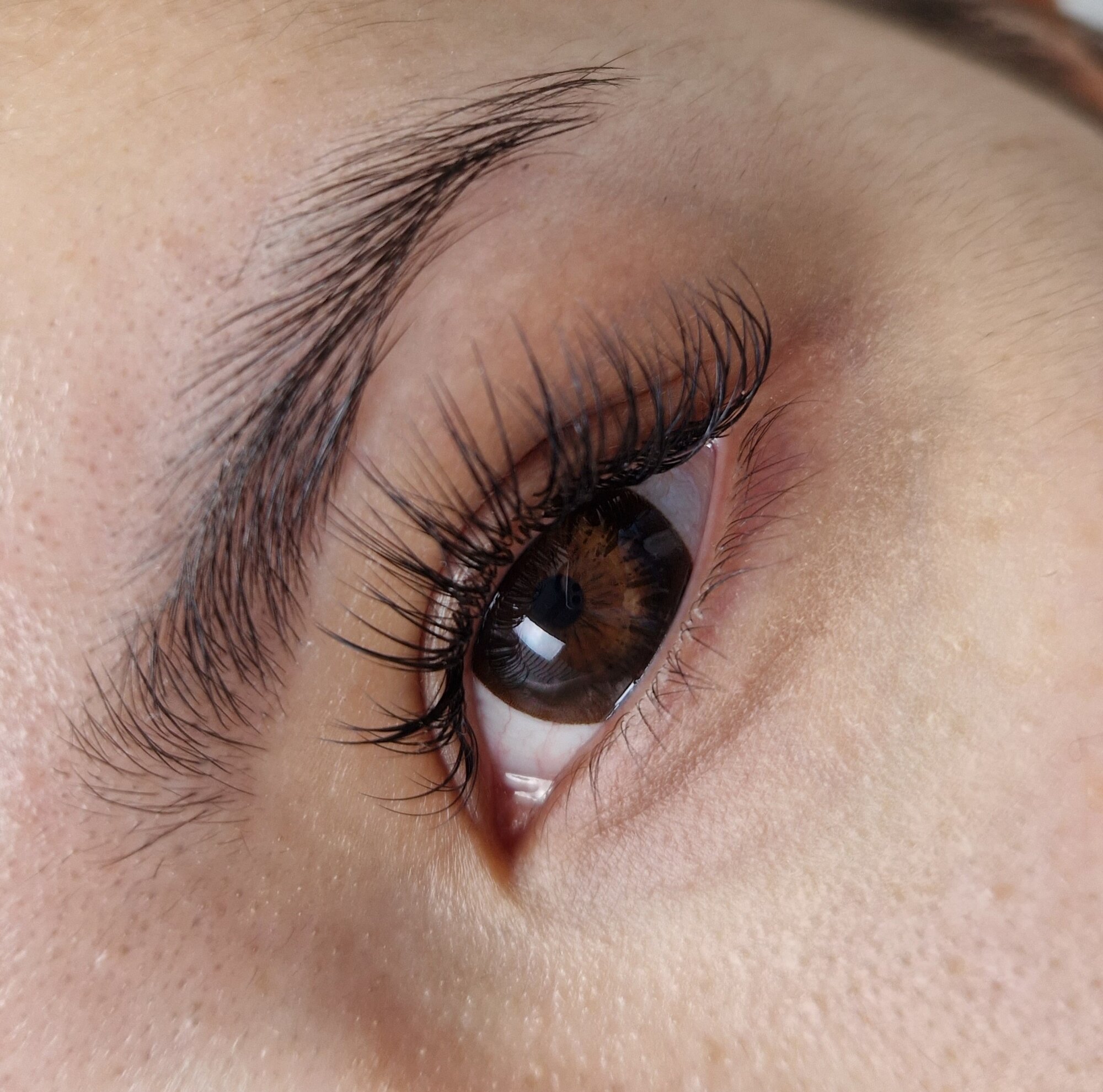 MG111 CHOCO -2.50 Контактные линзы для зрения, шоколадные, BC 8.6, DIA 14.2, 12 месяцев — фото 1