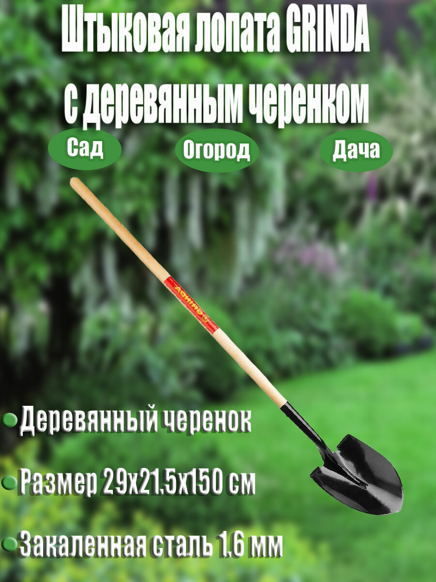 Штыковая лопата GRINDA сталь 1.6 мм с деревянным черенком 40 мм 290х215х1500 мм