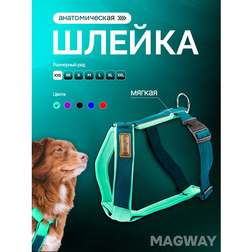 фото Шлейка прогулочная на мягкой подкладке из неопрена magway, морская волна, размер xxs, для мелких, средних и крупных пород, анатомически правильная