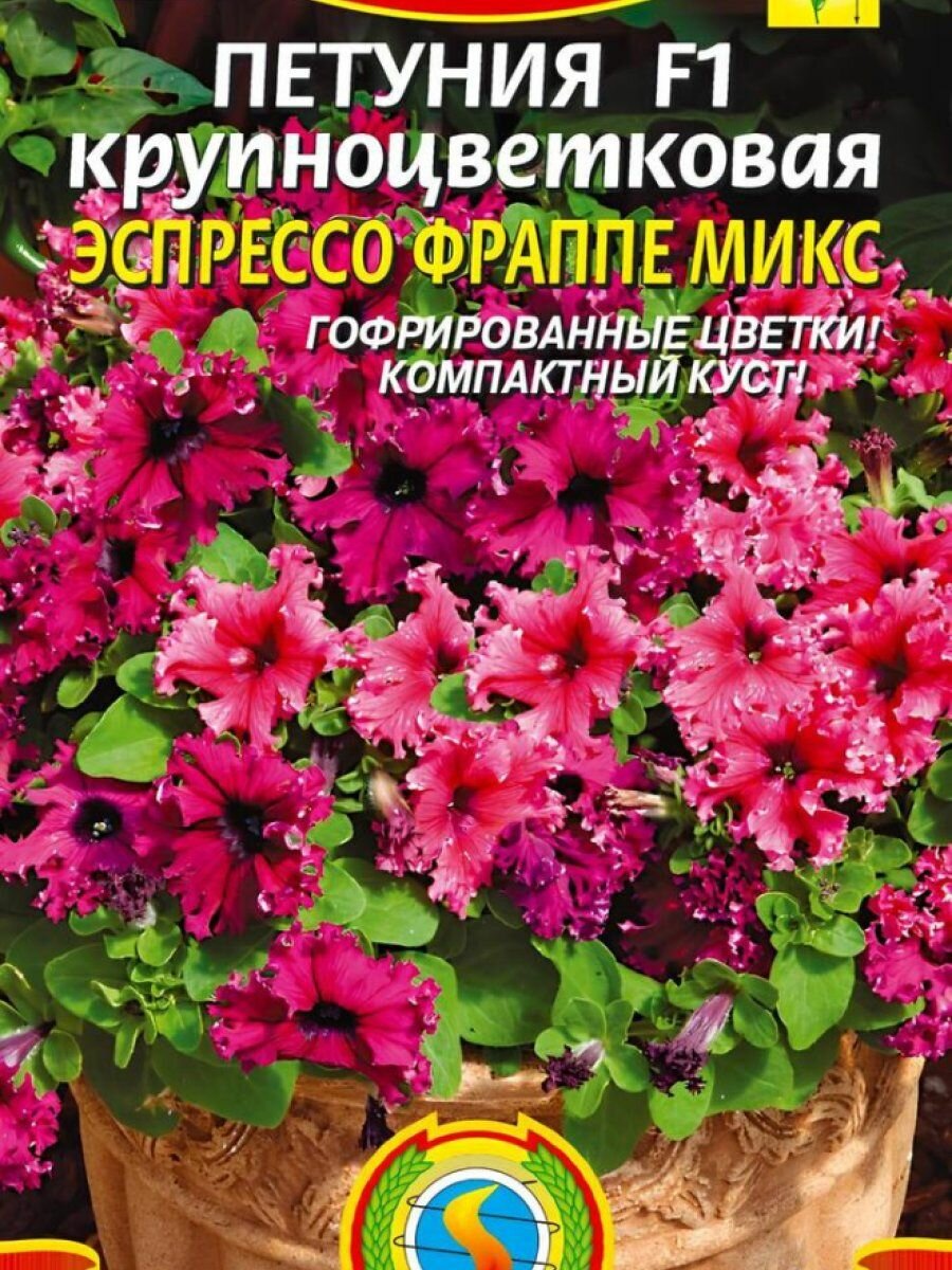 Семена Петуния F1 крупноцветковая Эспрессо Фраппе Микс 10 шт Плазменные семена