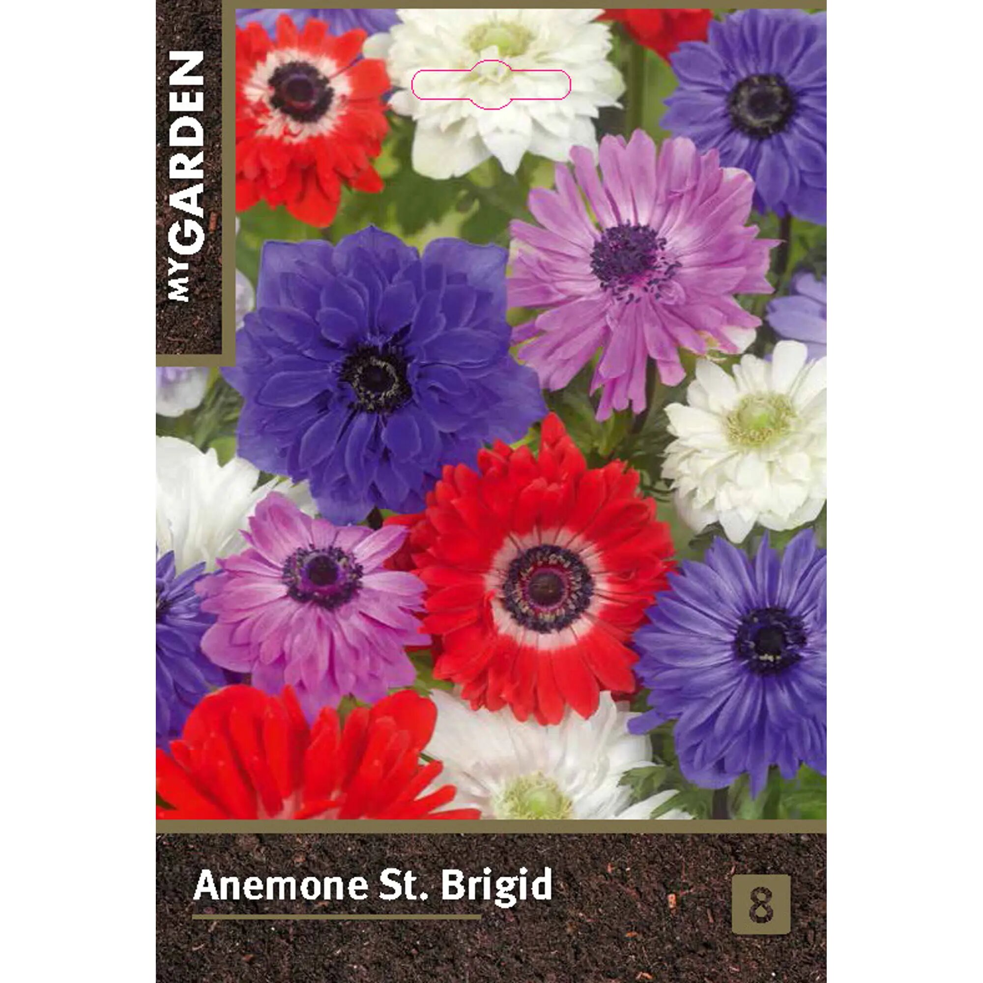 Анемона Сент Бриджид луковицы 5/6