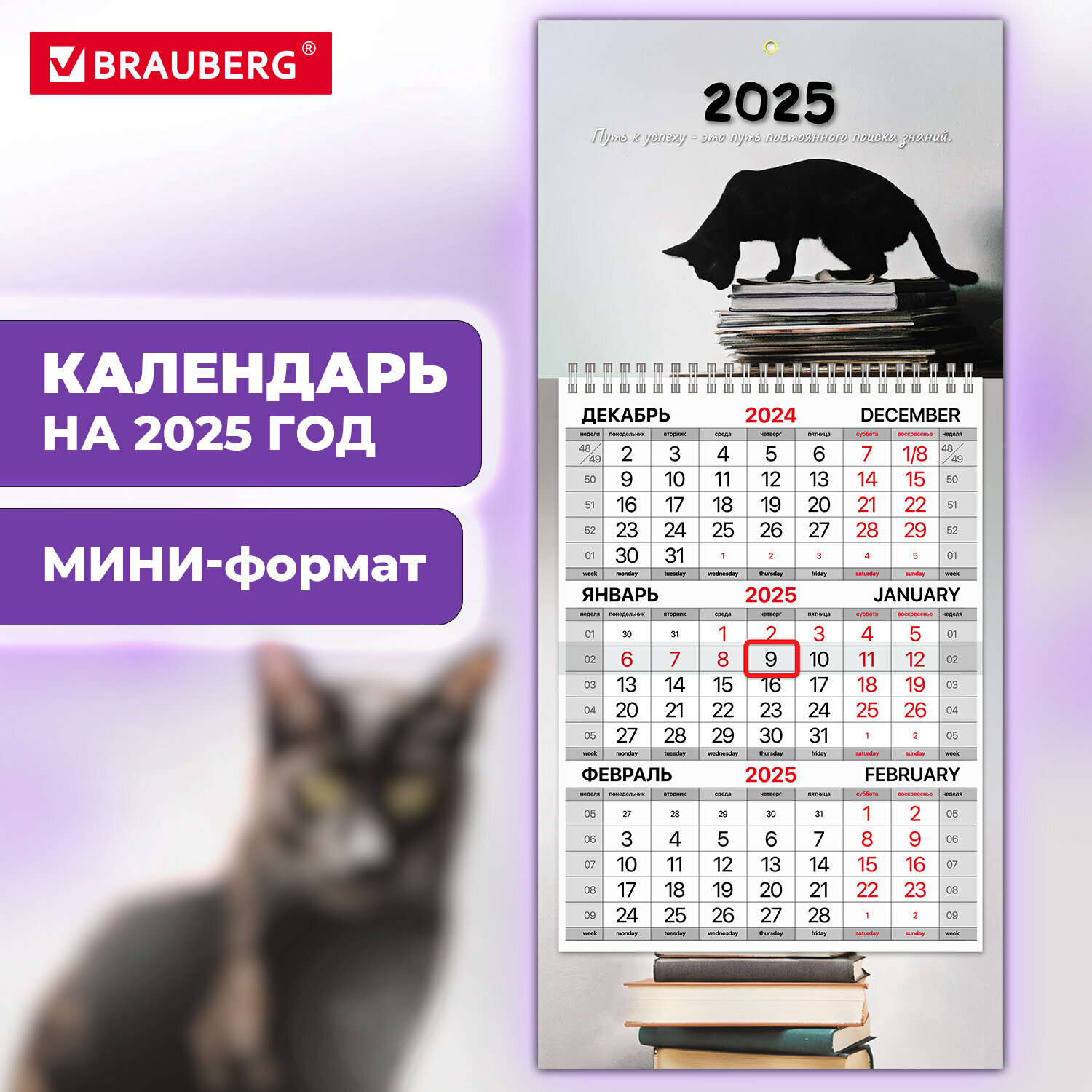 Календарь настенный на 2025 год квартальный отрывной 1 блок, 1 гребень, бегунок, Мини, офсет, Brauberg, Smart cat, 116123