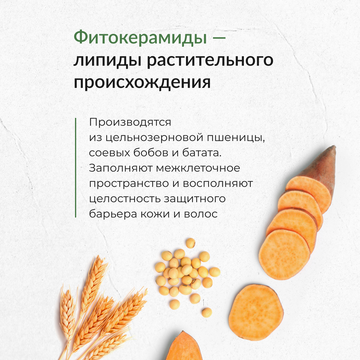Обзор: ECOCLARme Натуральный бальзам для ослабленных волос, восстанавливающий 1 л.