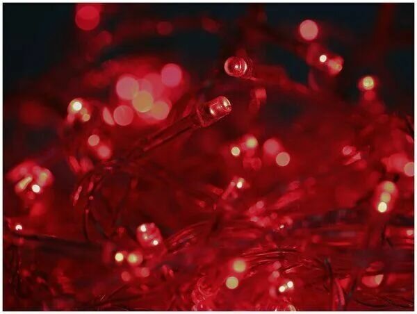 Ecola Гирлянда-нить 100LED Красная 6м 8 реж прозр. провод с вилкой 220V IP20 N2YR06ELC 761070