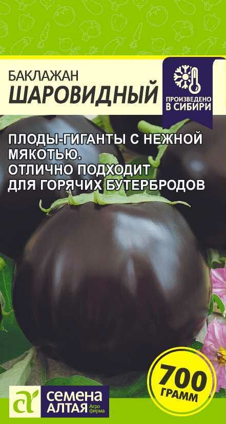 Семена баклажана 