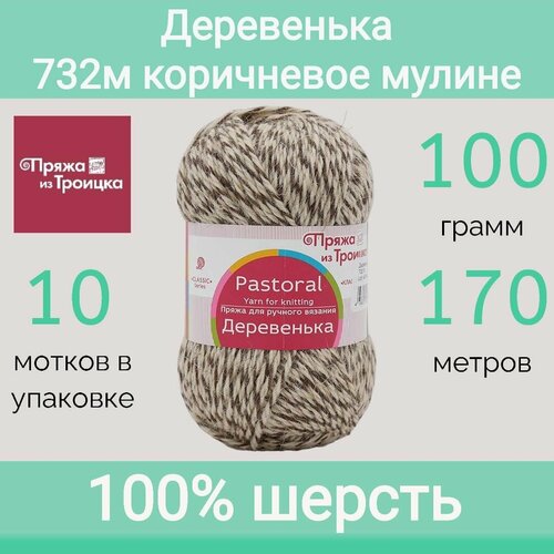 Пряжа Троицкая Деревенька цвет 732 меланж (100г/170м, упаковка 10 мотков)