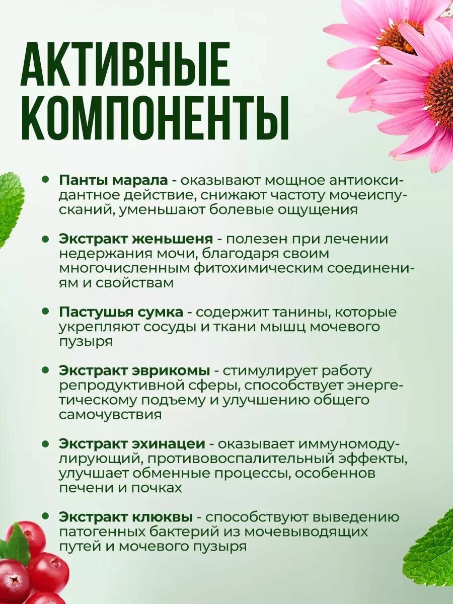 Бад Для Мочеполовой Системы Таблетки от недержания мочи от цистита, средства от недержания для мочеполовой системы Алтея, Урофол, 20 капсул