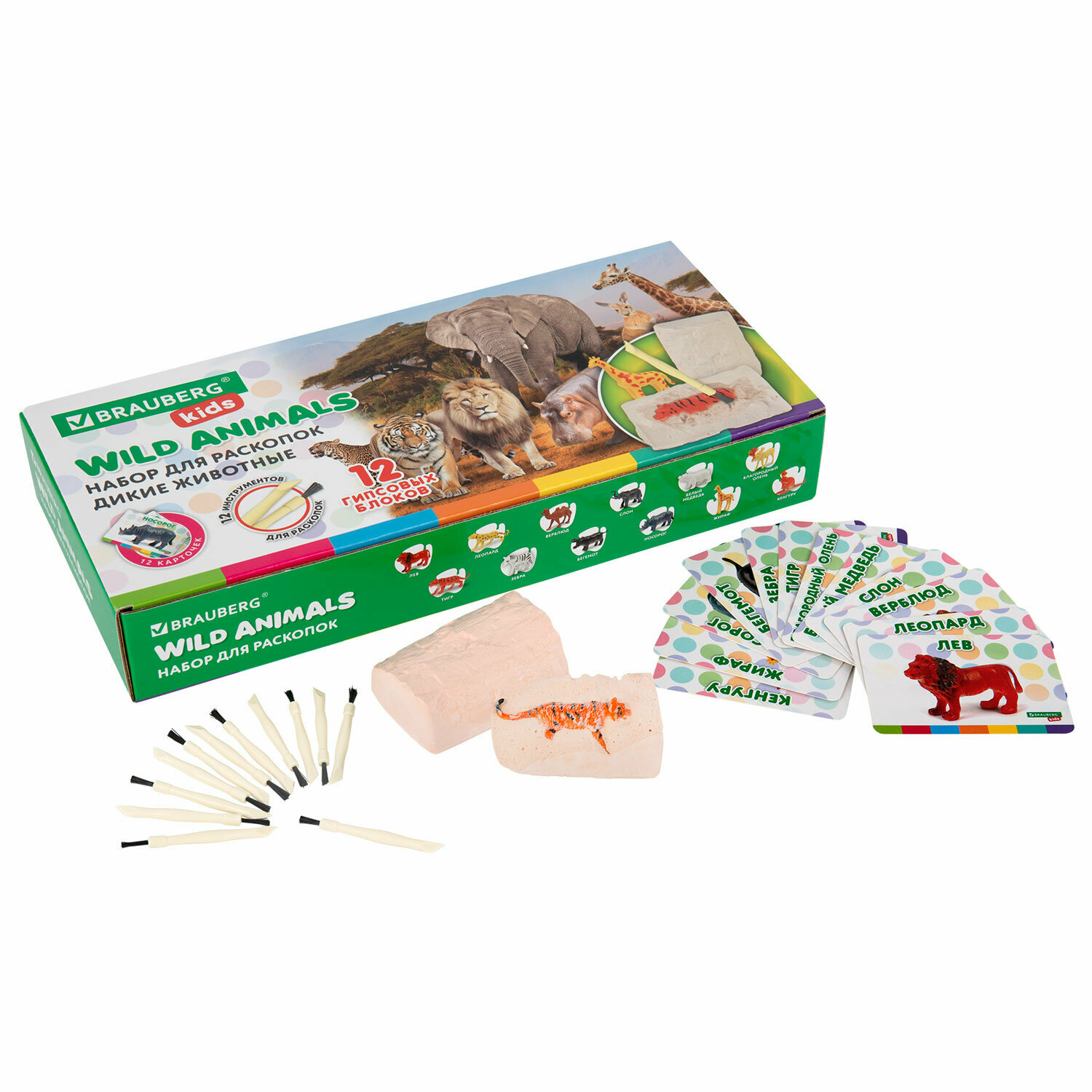 Набор для раскопок Brauberg "Kids", Дикие животные, 12 видов, карточки, инструменты